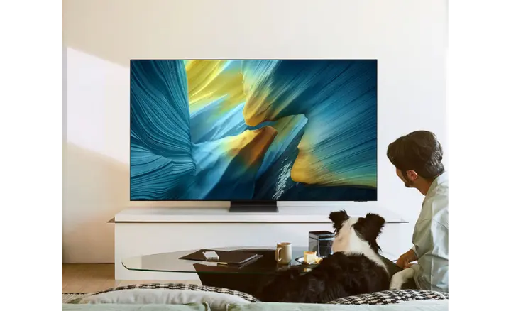 Smart TV Samsung Vision AI OLED S95F 2025 - Ficheiro Técnico